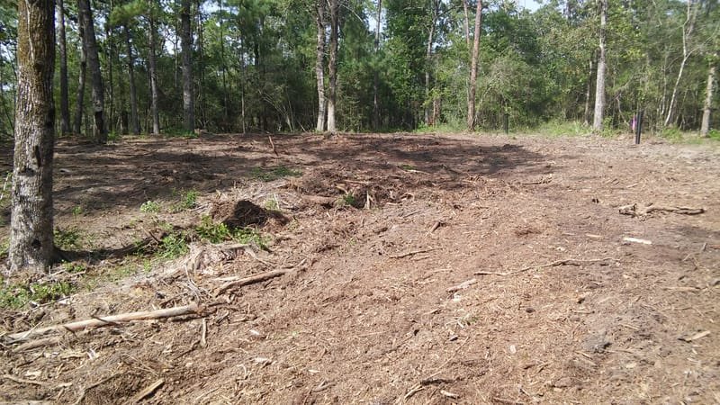 Newly cleared ground opening up a wooded lot