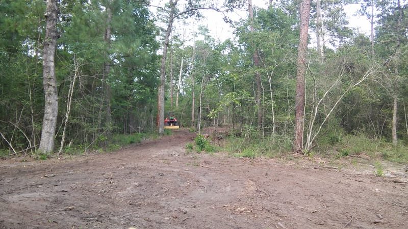 Cleared path running through the woods