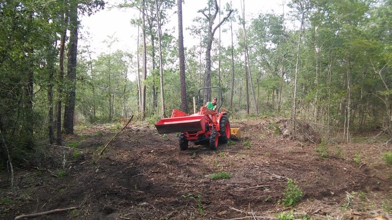 Tractor clearing undergrowth on a wooded lot