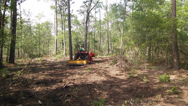 Tractor working through brush under tall pines